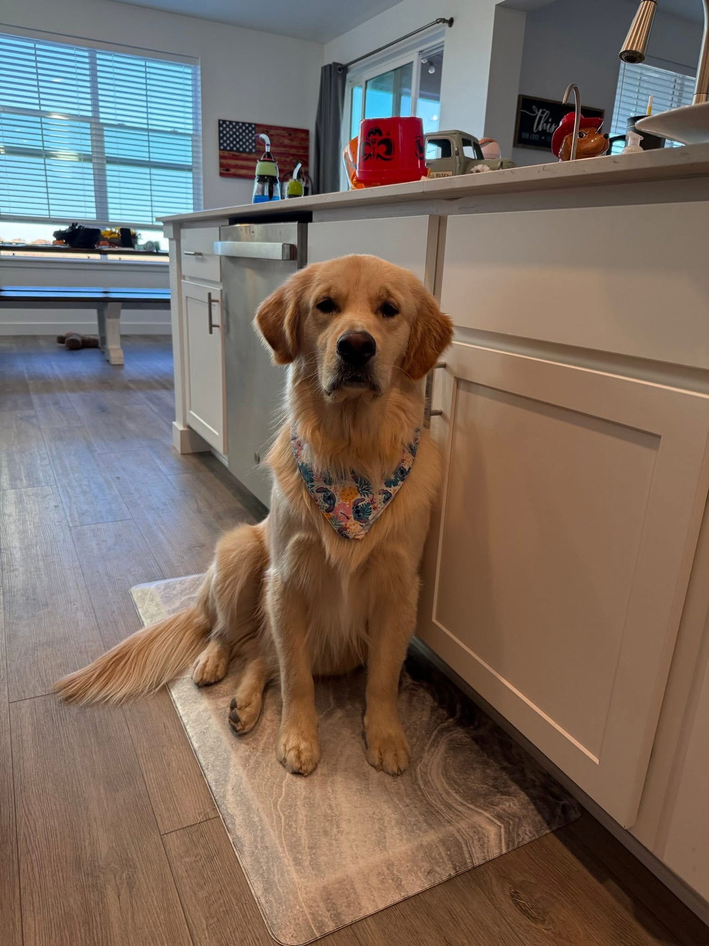 Patch Your Pup